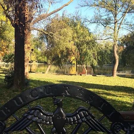 Brezoianu Apartament