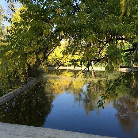 Brezoianu