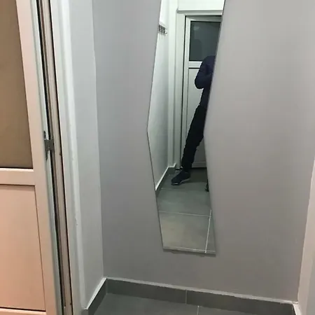 Brezoianu Apartment *