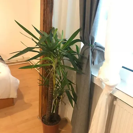 Brezoianu Bukareszt